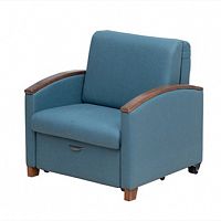 Luxurios Foldable Accompany Chair Bed